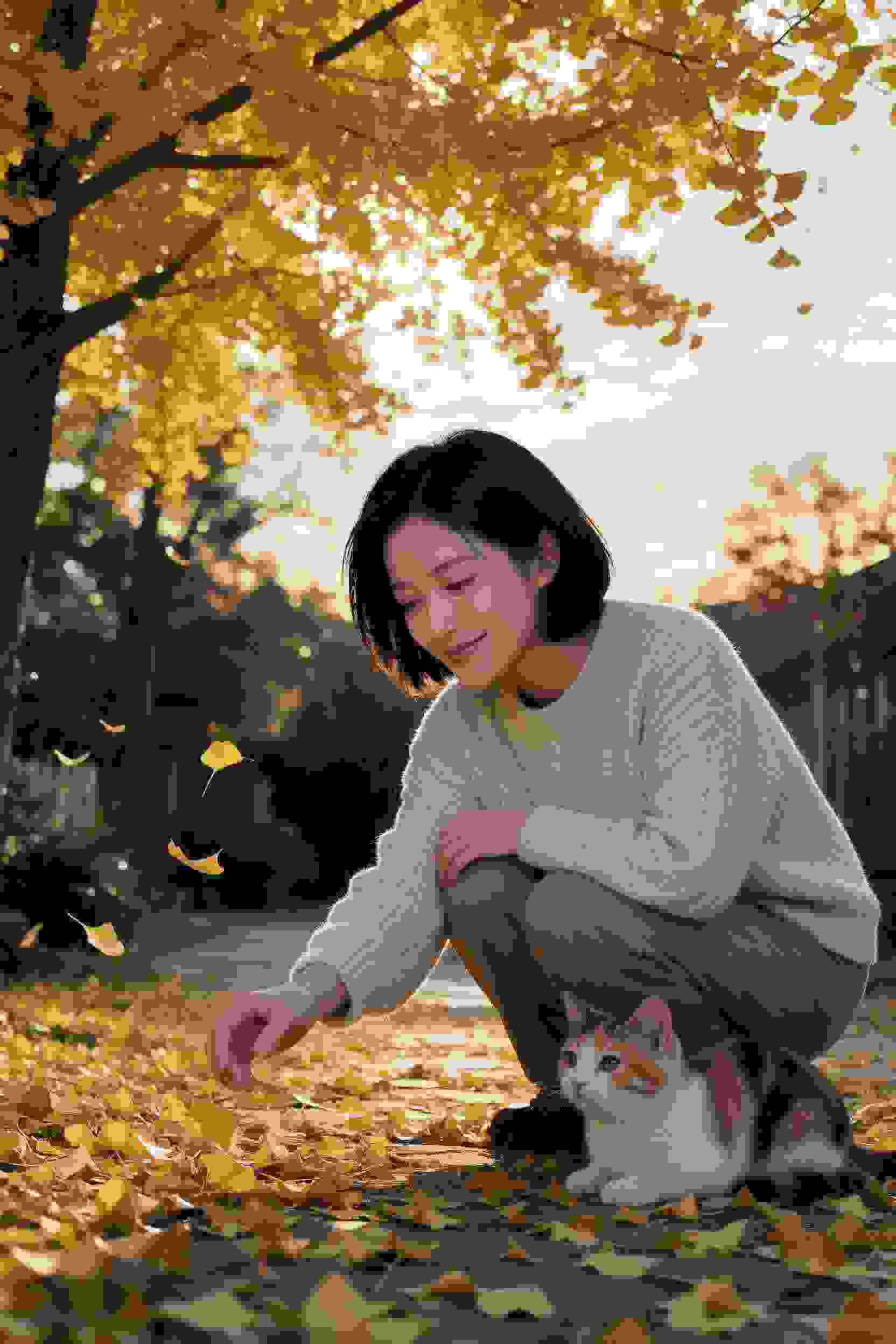 命运轮转